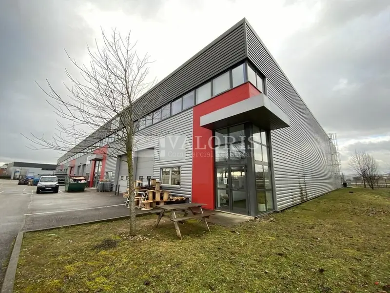 A louer Locaux d'activité 565m² Dagneux