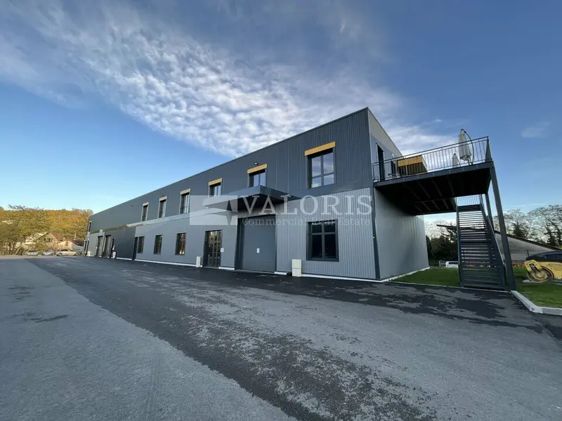 A louer Locaux d'activité 2843m² Albigny-sur-Saône