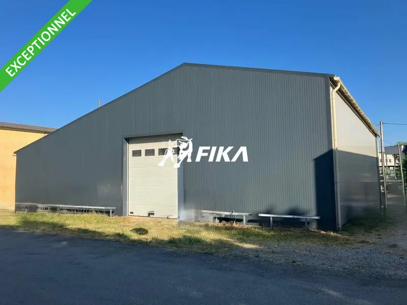 A VENDRE LOCAL D'ACTIVITÉ 520 m² - (31320) CASTANET-TOLOSAN