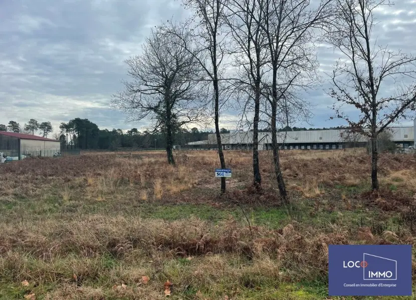 A vendre Terrain 8077m² Angoumé