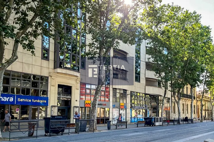 MONTPELLIER CENTRE VILLE