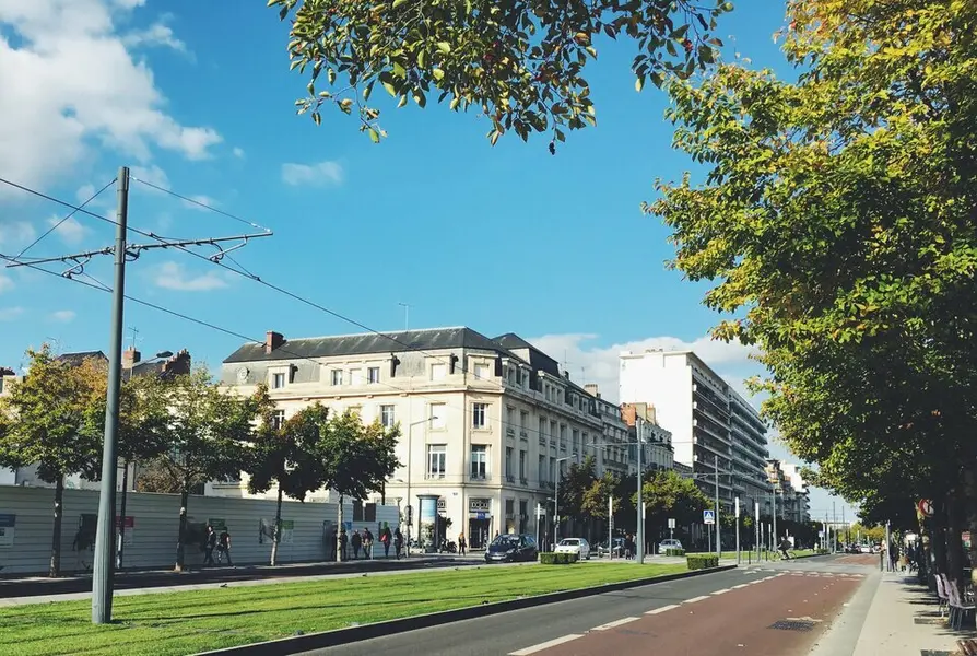 ANGERS - LOCAL PROFESSIONNEL