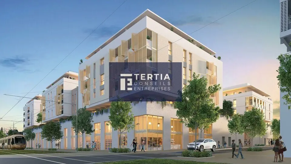 MONTPELLIER SUD SUR AXE PASSANT - LOCAUX COMMERCIAUX 