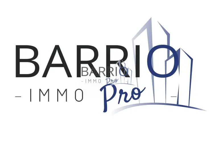 Local Commercial à vendre - Saint-Cyprien (66750) - 60 m²