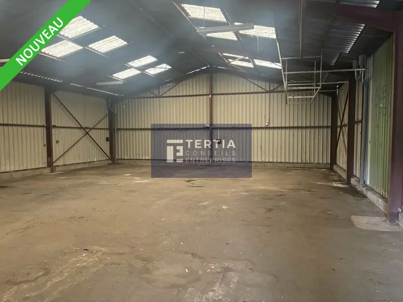 Entrepôt / Activité à louer - Saint-Jean-De-Védas (34430) - 300 m² - 3 000 €/...