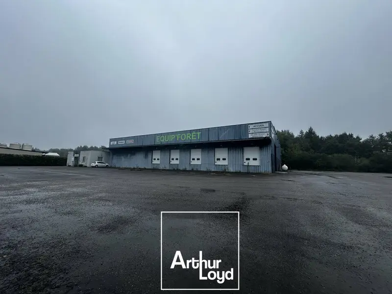 Entrepôt / Activité à louer - Tulle (19000) - 1849 m² - 6 000 €/mois