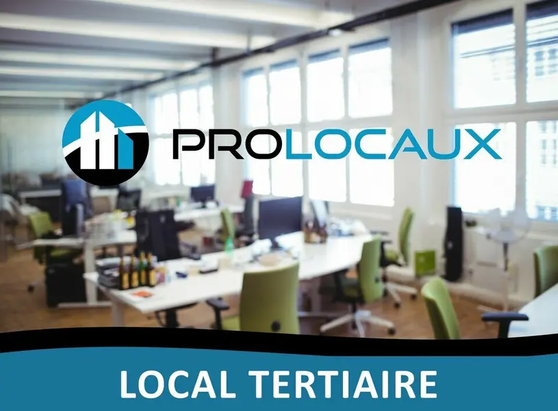 Entrepôt / Activité à louer - Vaulx-En-Velin (69120) - 546 m² - 7 511 €/mois