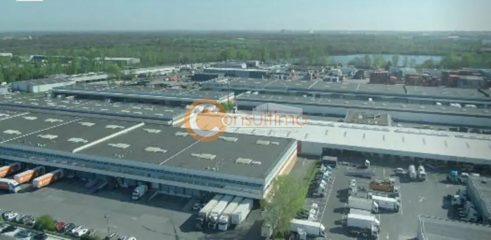 Entrepôt / Activité à louer - Cissac-Médoc (33250) - 375 m² - 2 031 €/mois