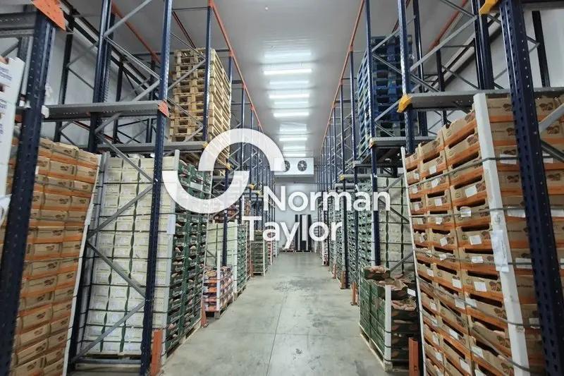 Entrepôt / Activité à vendre - Perpignan (66000) - 1571 m²