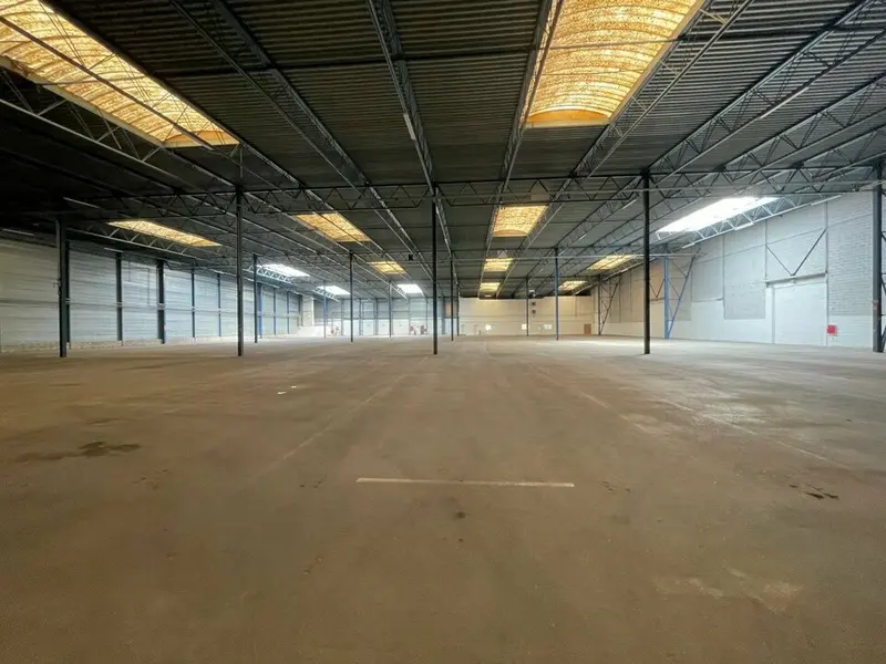 A louer Locaux d'activité 12445m² Corbas
