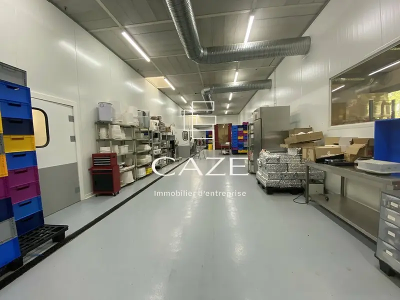 Entrepôt / Activité à louer - Canéjan (33610) - 600 m² - 4 000 €/mois