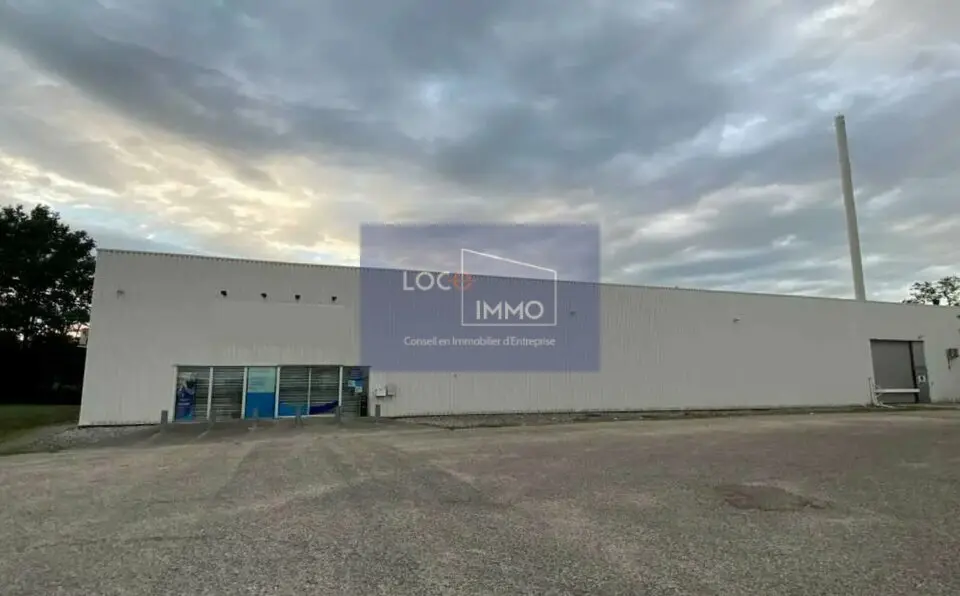 Entrepôt / Activité à louer - Pessac (33600) - 2100 m² - 11 667 €/mois
