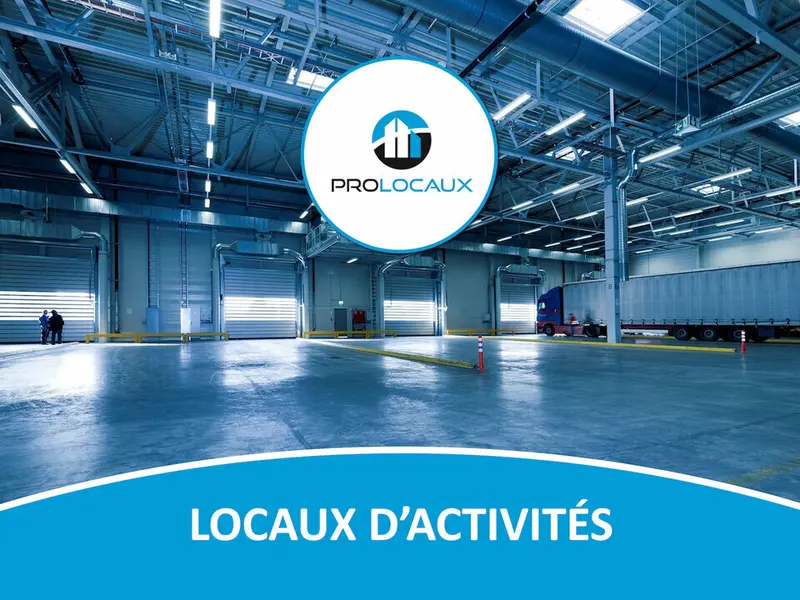 Entrepôt / Activité à vendre - Malaunay (76770) - 4150 m²