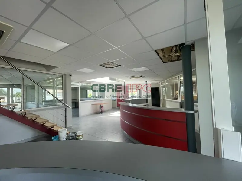 Entrepôt / Activité à vendre - Auriac (64450) - 1050 m²