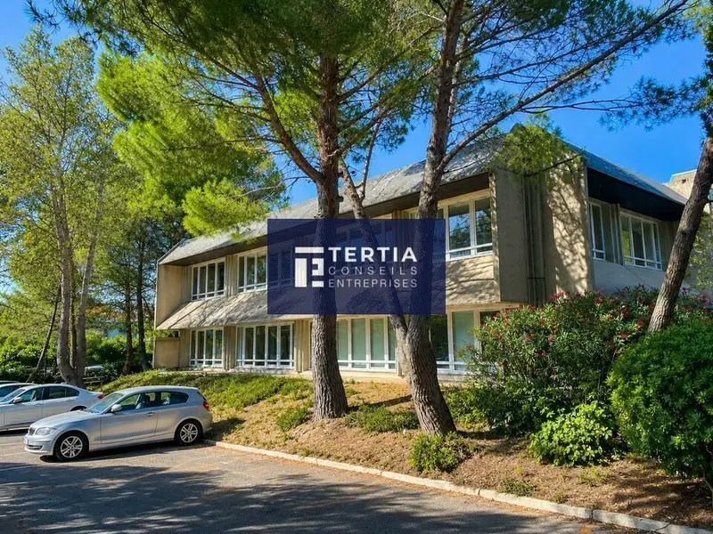 Bureau à louer - Montpellier (34000) - 812 m² - 8 796 €/mois