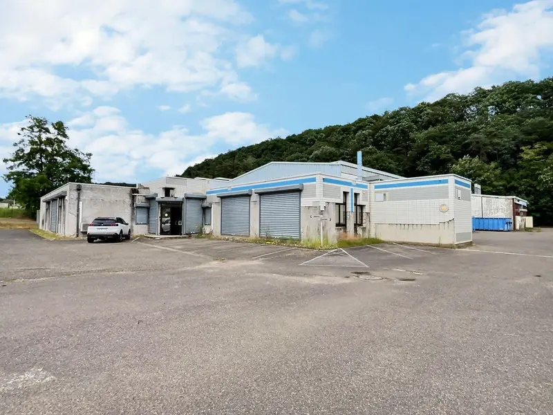 Entrepôt / Activité à vendre - Saint-Avold (57500) - 2680 m²