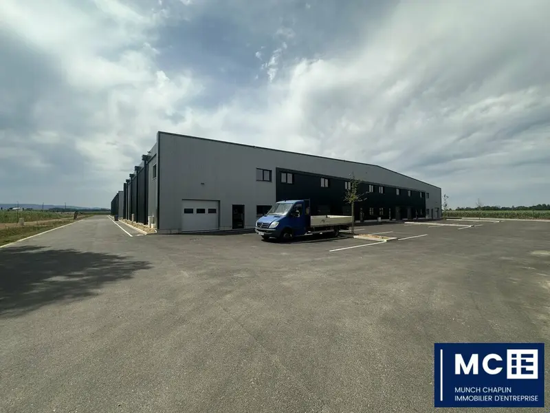 Entrepôt / Activité à vendre - Fegersheim (67640) - 7749 m²