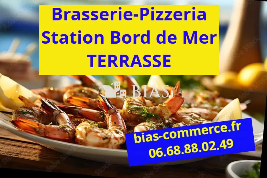 BRASSERIE -PIZZERIA -TERRASSE BORD de MER